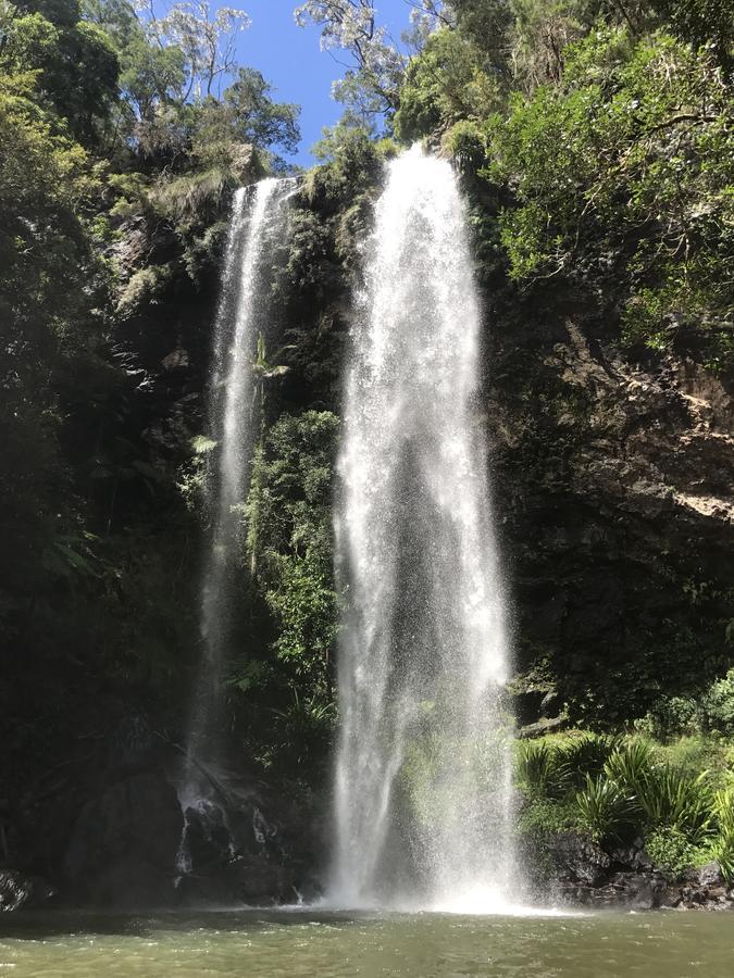 Purling Brook Falls Gwongorella Спрингбрук Экстерьер фото