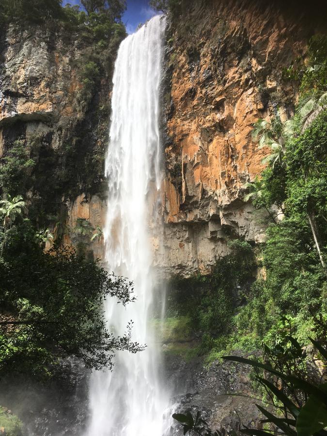Purling Brook Falls Gwongorella Спрингбрук Экстерьер фото